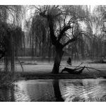 Sam Clarke - Black and white image of leafless trees on the banks of a river.