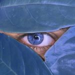 Zainab Rawat - Close-up of a person's deep blue eye framed by three large leaves.