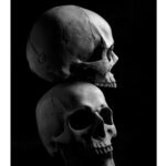 Finnian Stroud - Still life in black and white of two skulls on top of each other