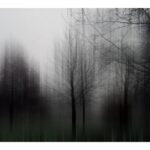 Wilfred Waters - Black and White image. Abstract trees blurred